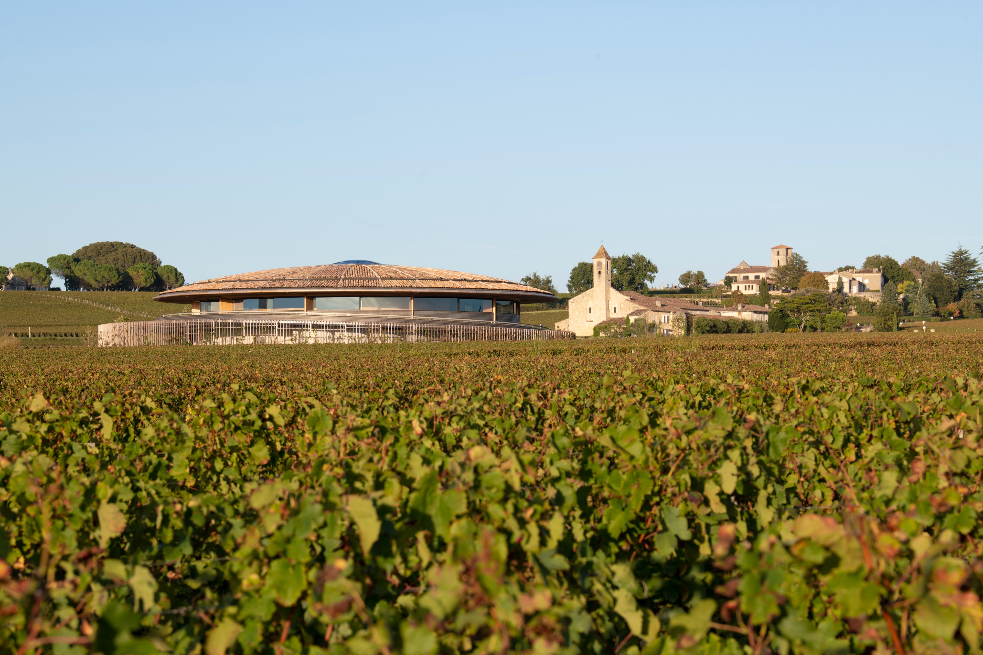 Le Dome winery